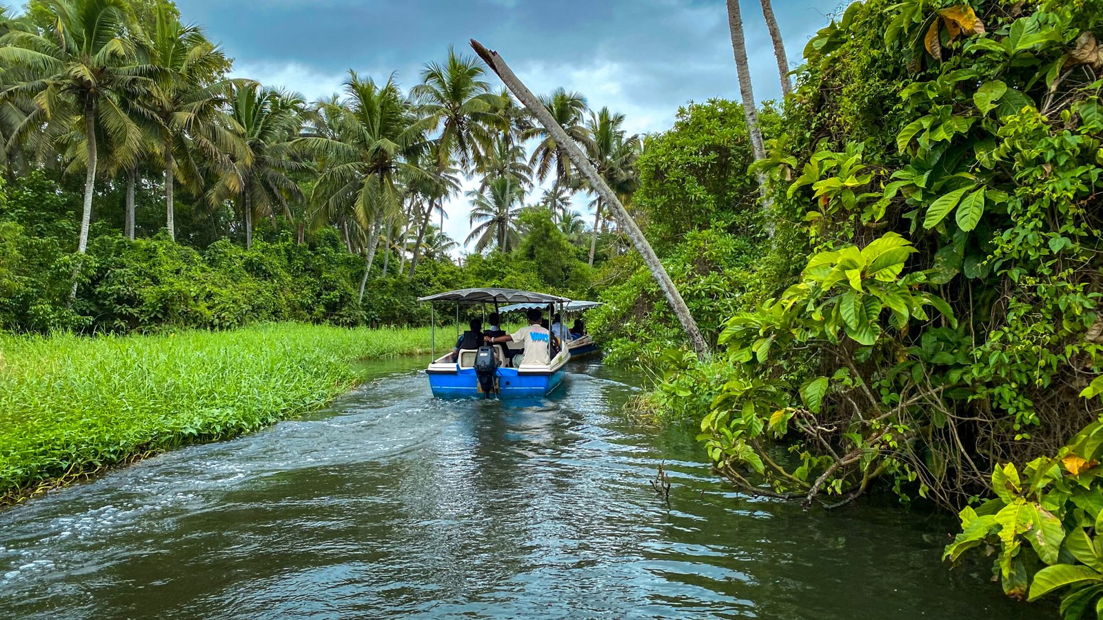 poovar backwater boating in kerala